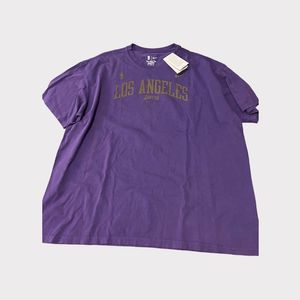 Nike Los Angles Lakers Arc Logo Tee Purple/Gold Size XXL